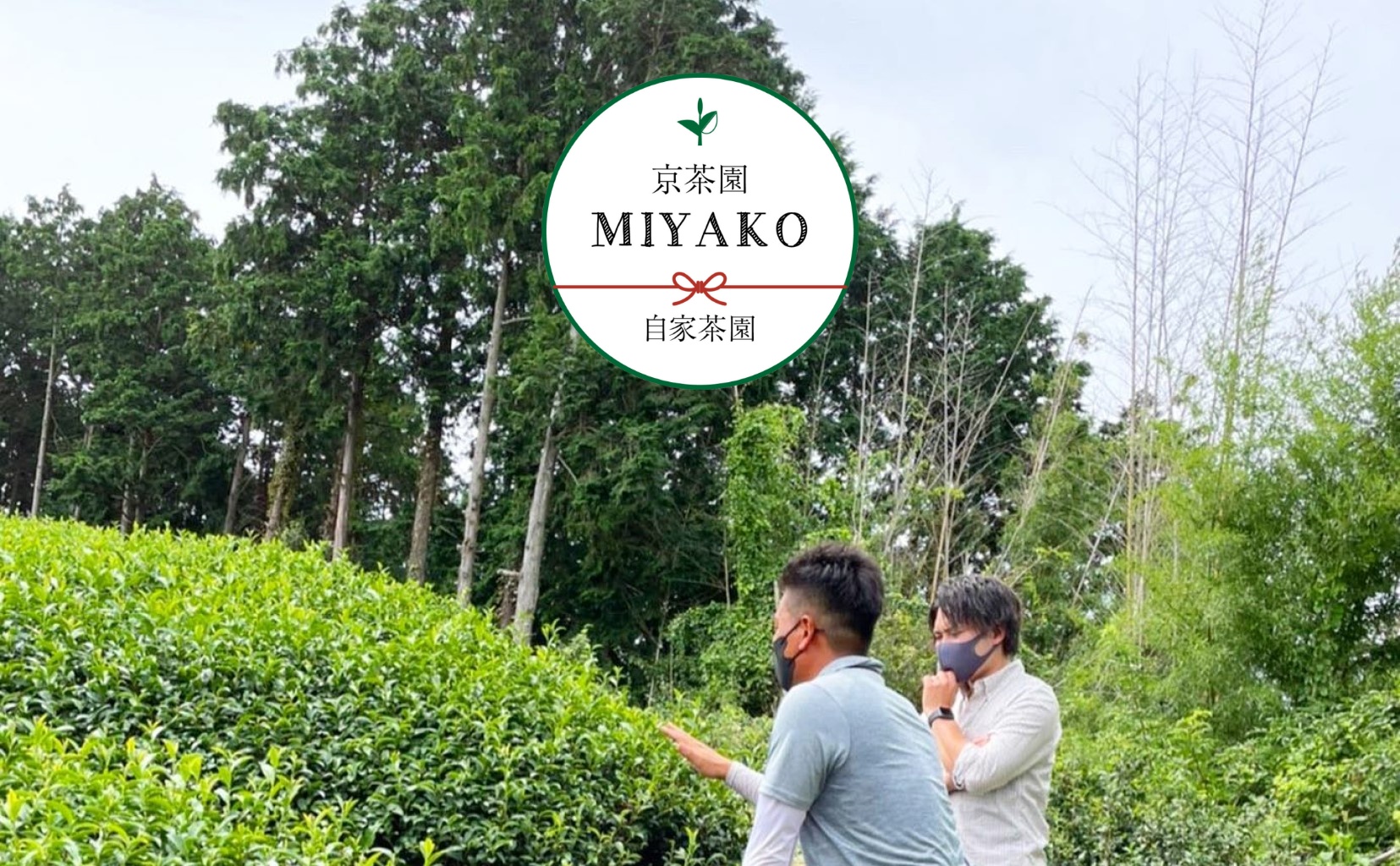 京茶園-MIYAKO- 京都河原町駅（京都線）から徒歩1分